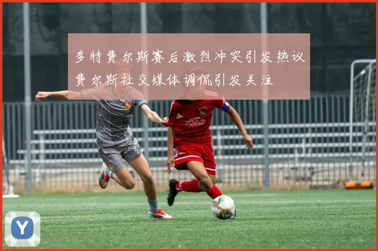 多特费尔斯赛后激烈冲突引发热议费尔斯社交媒体调侃引发关注