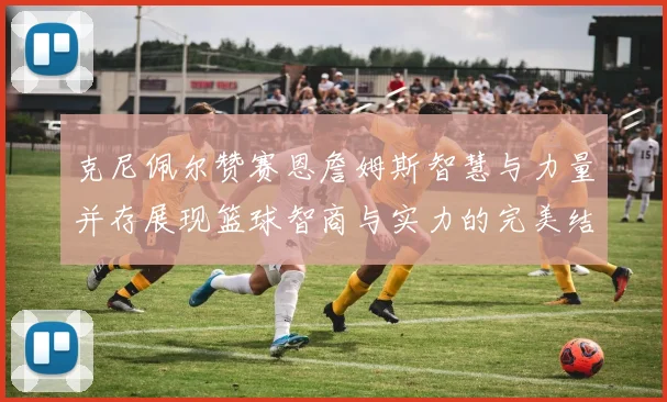 克尼佩尔赞赛恩詹姆斯智慧与力量并存展现篮球智商与实力的完美结合
