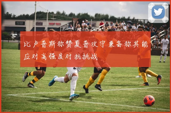 比卢普斯称赞夏普攻守兼备称其能应对高强度对抗挑战