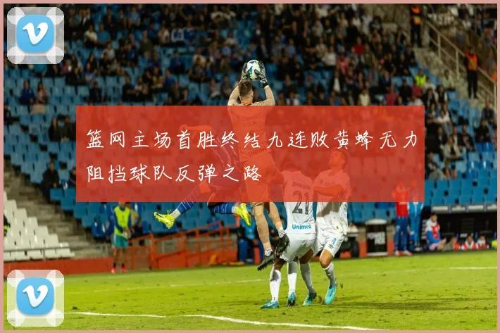 篮网主场首胜终结九连败黄蜂无力阻挡球队反弹之路
